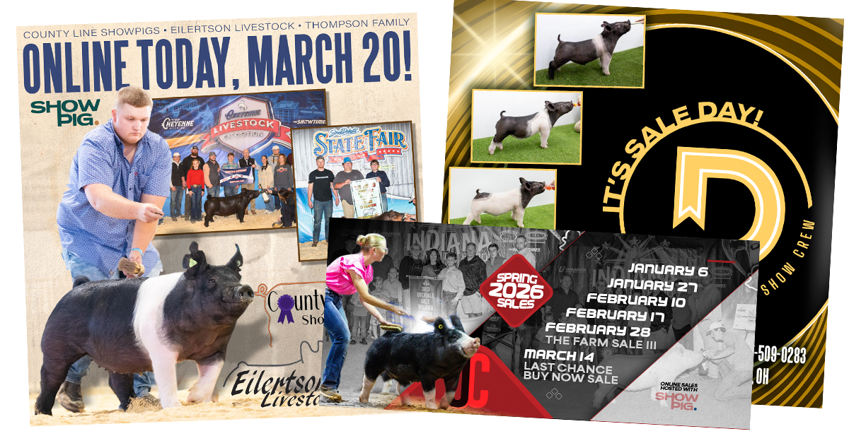 Set of branded social media graphics for an online livestock sale.