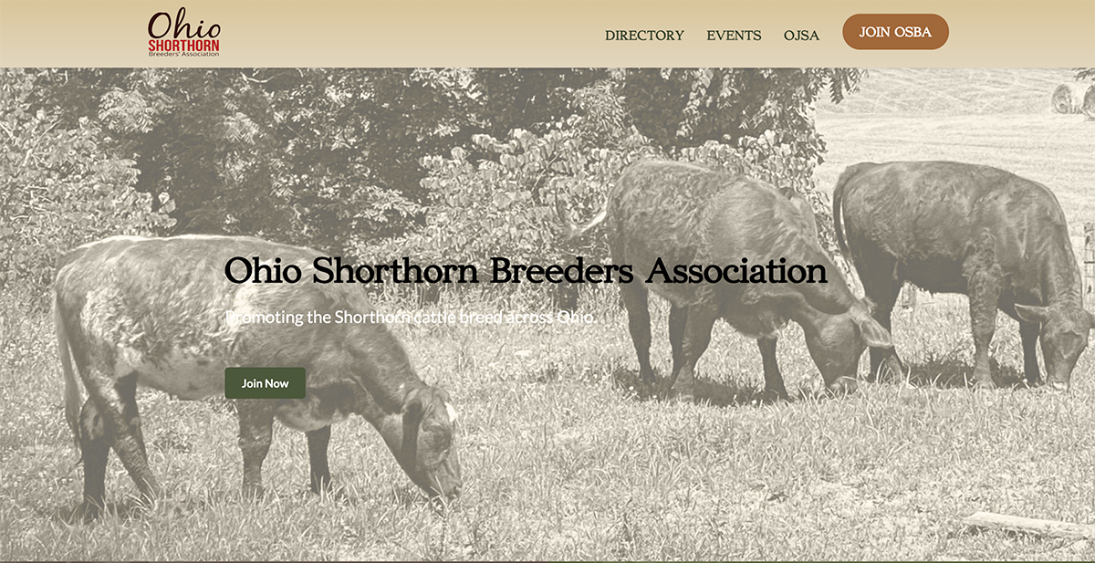 Responsive livestock web site design shown on a laptop and phone.